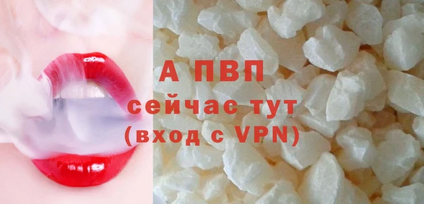 прущие грибы Куйбышев