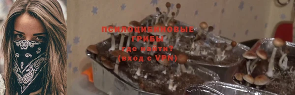 винт Кукмор