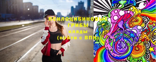 индика Лихославль