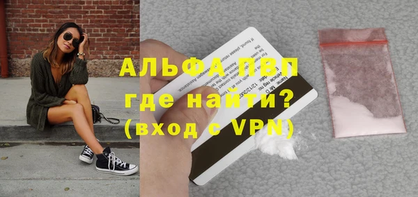 прущие грибы Куйбышев